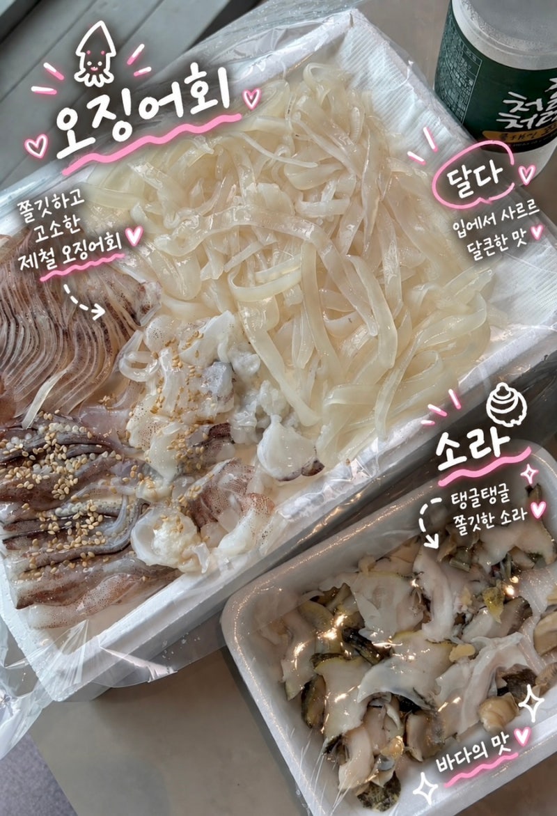 [보령] 보령 대천항 수산시장 맛집 오징어회, 소라 포장 추천 “녹도수산”