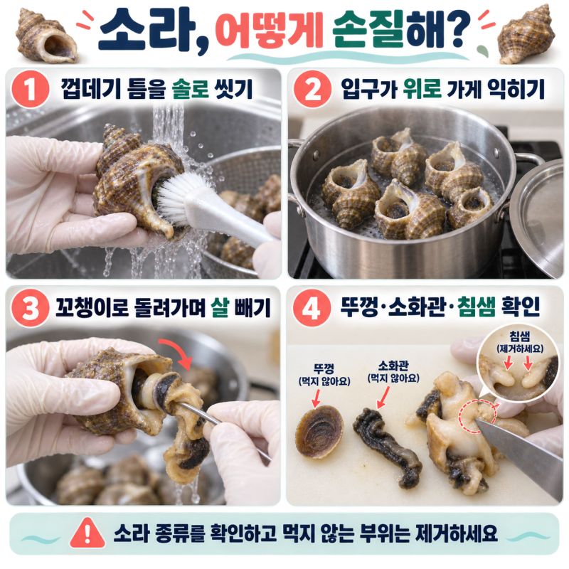 소라 어떻게 손질해? 삶는 법과 내장·침샘 제거하는 방법