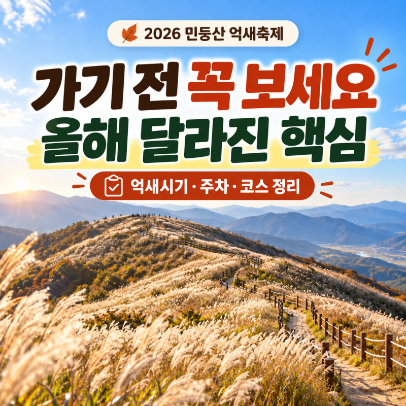 민둥산 억새 벌써 시작됐다｜2026 축제·절정시기·주차·셔틀 중단｜9월20일 업데이트