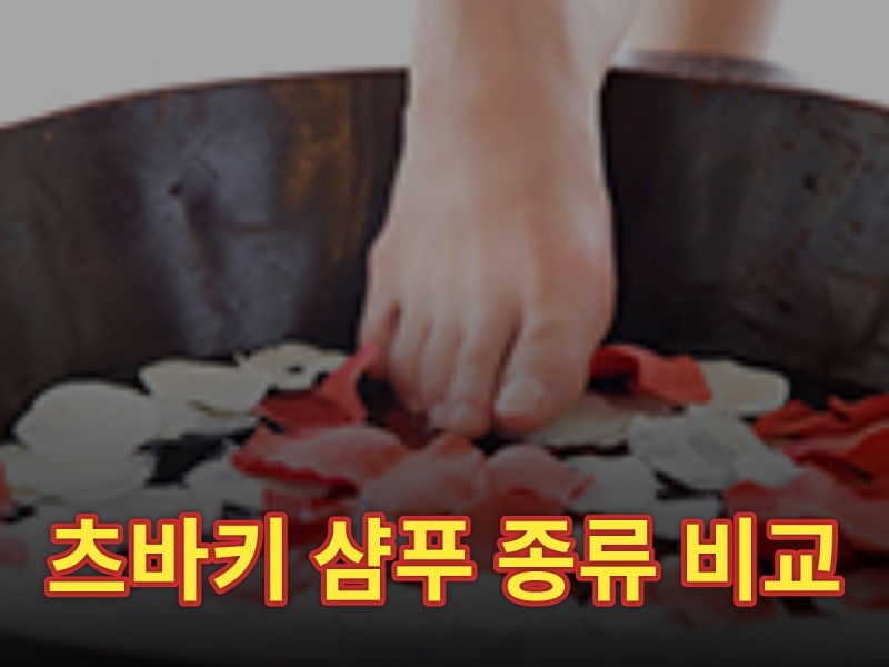 츠바키 샴푸 종류 비교, 오사카 드럭스토어에서 직접 써보고 정리했어요 (2026)