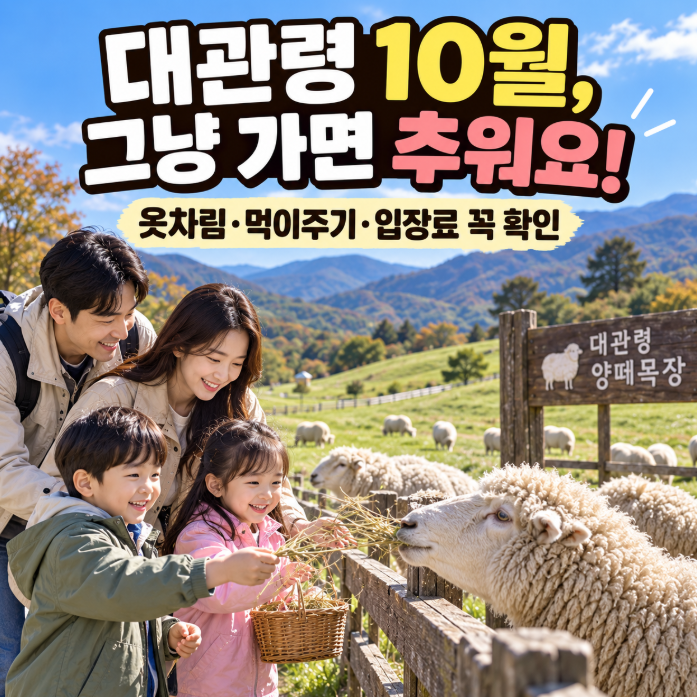 평창 아이랑 가볼만한곳 대관령 양떼목장, 9~10월 옷차림 몰라서 고생해요! 먹이주기·입장료....