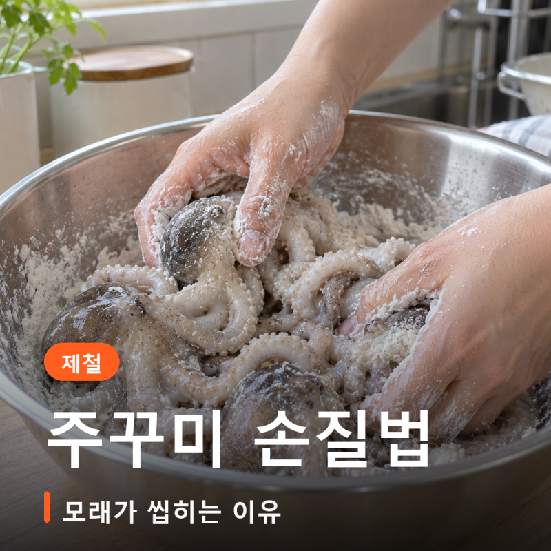 주꾸미 손질법 내장 먹물 데치는 시간까지 아무리 헹궈도 모래가 씹히는 이유