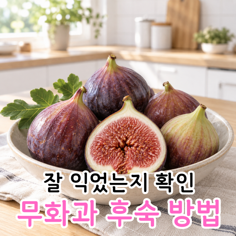 무화과 후숙? 잘 익은 무화과 구별법과 보관법