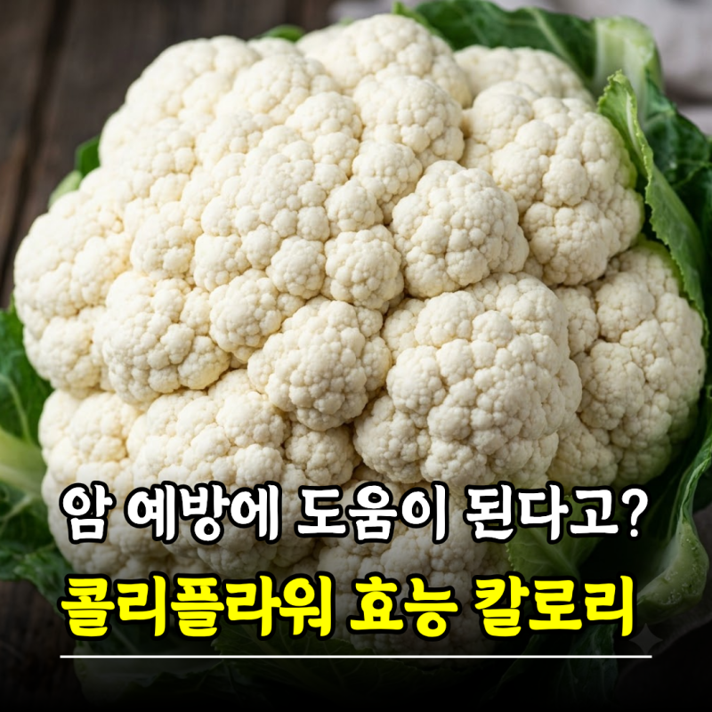 암 예방에 도움이 된다고? 콜리플라워 효능 칼로리