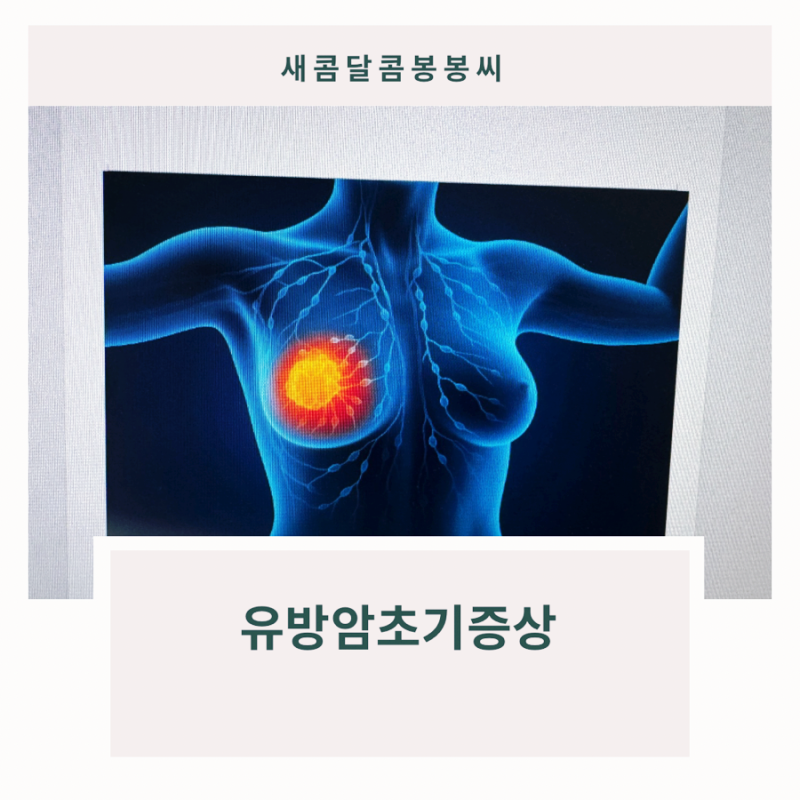 유방암초기증상 꼭 기억해야 할 7가지 신호