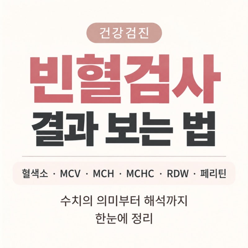 건강검진 빈혈검사 결과 보는 법｜혈색소·MCV·MCH·MCHC·RDW·페리틴 같이 보기