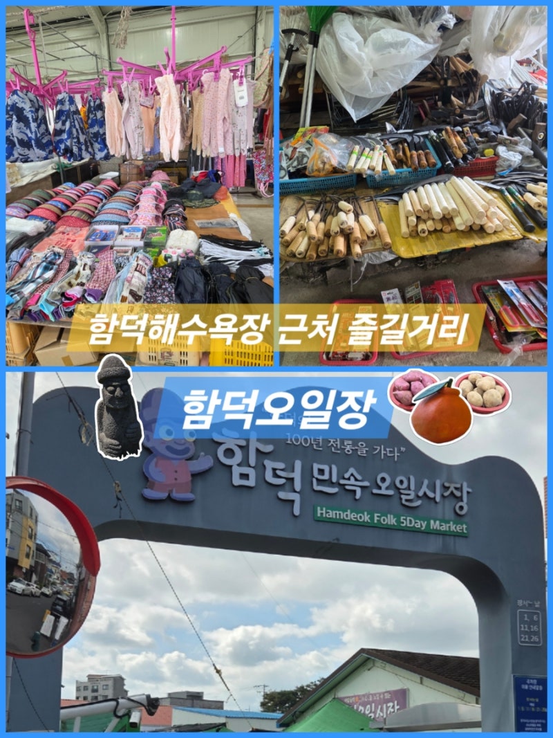제주 함덕해수욕장 주변 즐길거리 함덕오일장 날짜 주차