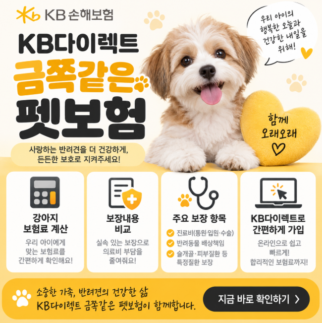 KB다이렉트 금쪽같은 펫보험, 강아지 보험료 계산·보장내용 비교
