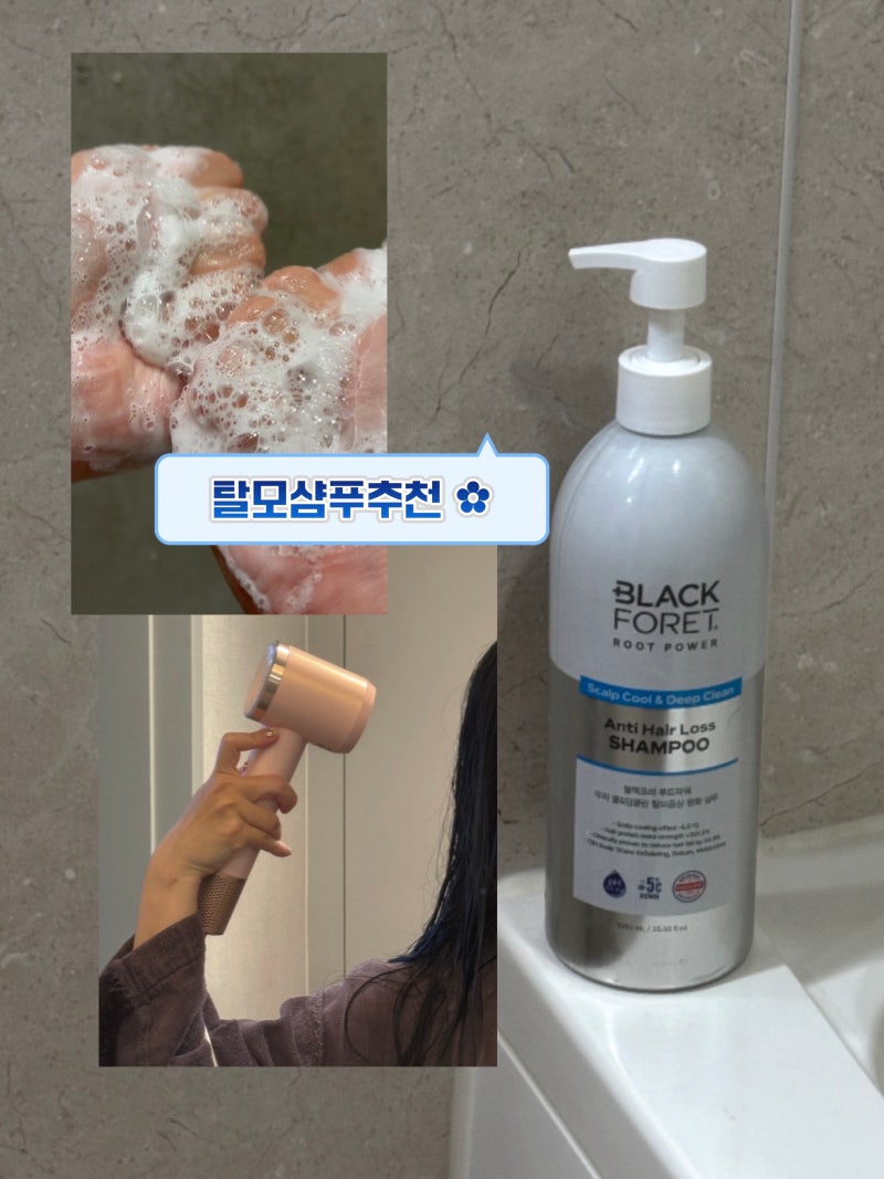 대다모1등샴푸 블랙포레 루트파워, 코스트코추천템 탈모샴푸추천 후기