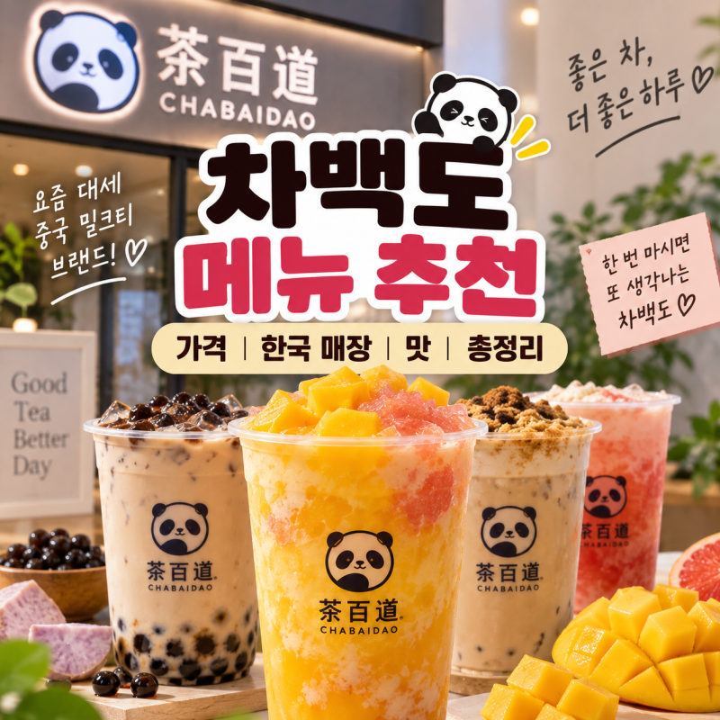 중국 대세 밀크티 브랜드 차백도 인기 메뉴 칼로리·당도 꿀팁 총정리