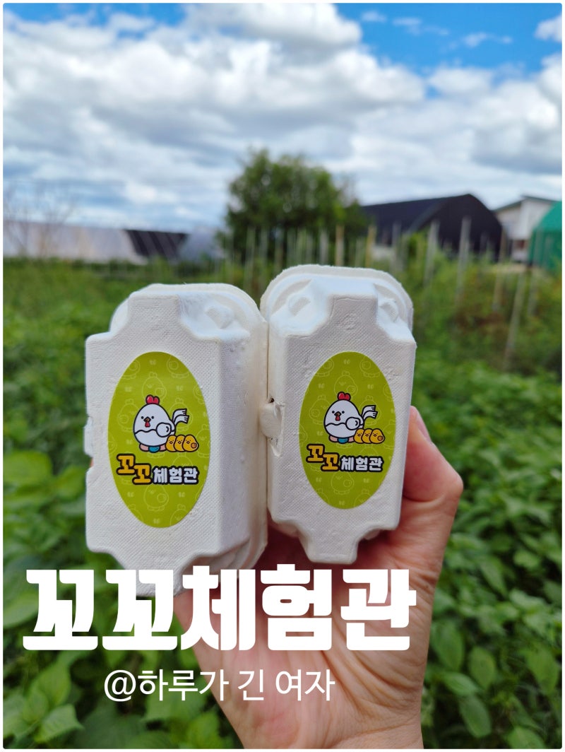 [경기 고양] 일산 동물체험｜아이와 가볼 만한 곳 꼬꼬체험관