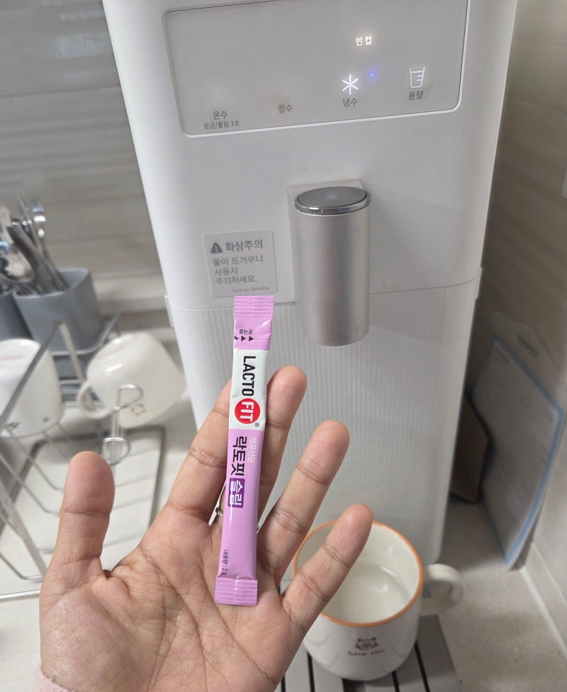 락토핏 슬림 다이어트 유산균 변비 가스 체지방까지 잡힐까 가성비다이어트