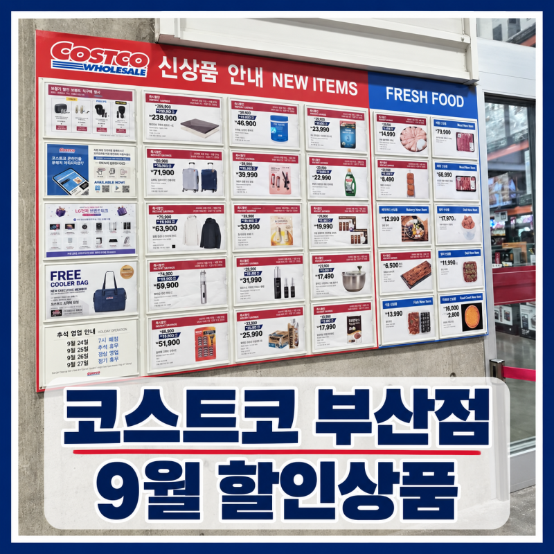 2026 코스트코 부산점 9월 할인상품 직접 확인, 신상품·먹거리 가격 총정리