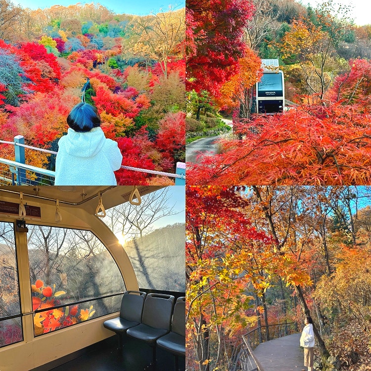 90%가 몰라서 실패한다는 곤지암 화담숲 예약 꿀팁 TOP4