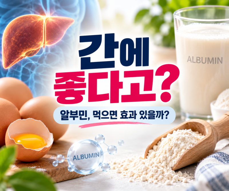 알부민 효능 뭐길래? 간에 좋을까, 성분·당뇨·먹는시간·부작용까지