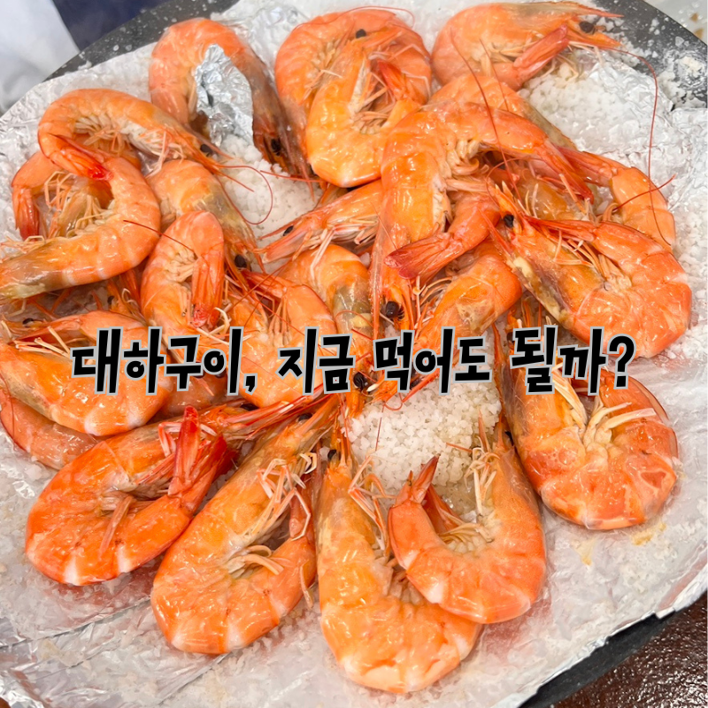 선부동 초장집 왕새우소금구이 700g 솔직후기 9월말에 다시 가기로 한 이유
