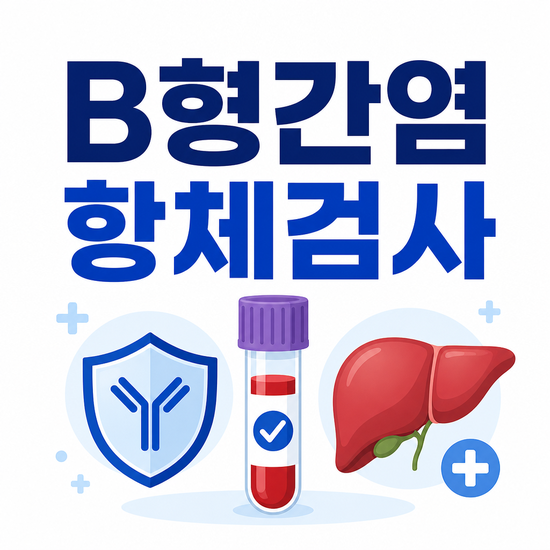 B형간염항체검사 결과, 항체 하나로 판단하지 않는 이유