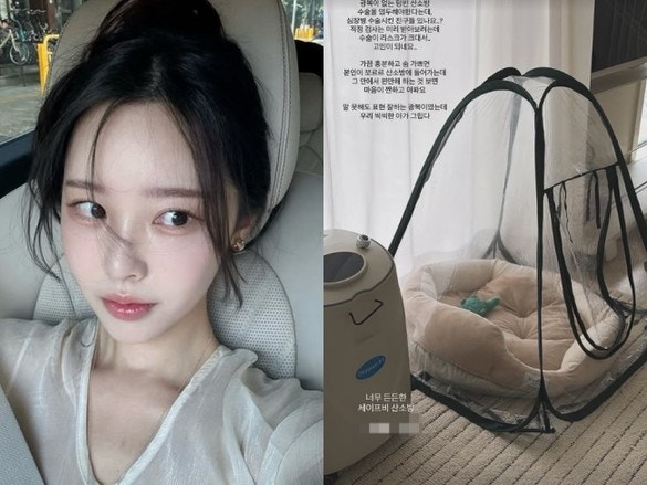 박성광 아내 이솔이, 반려견 심장병 고백에 산소방 홍보까지…"광복이 없는 텅 빈 방"이 남긴....