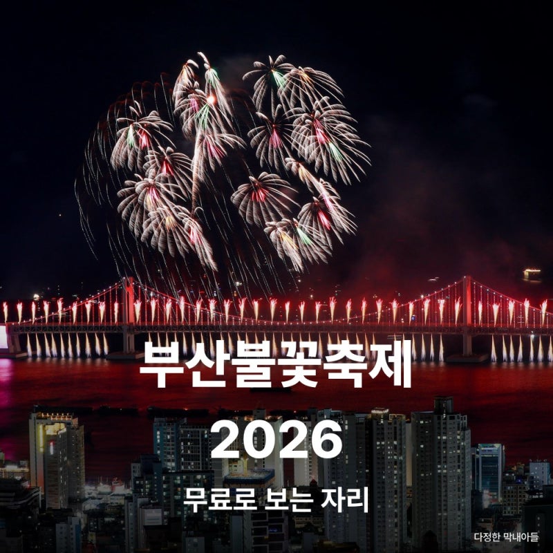 "다섯 발 터질 때 여긴 한 발".. 부산불꽃축제 2026 명당의 함정