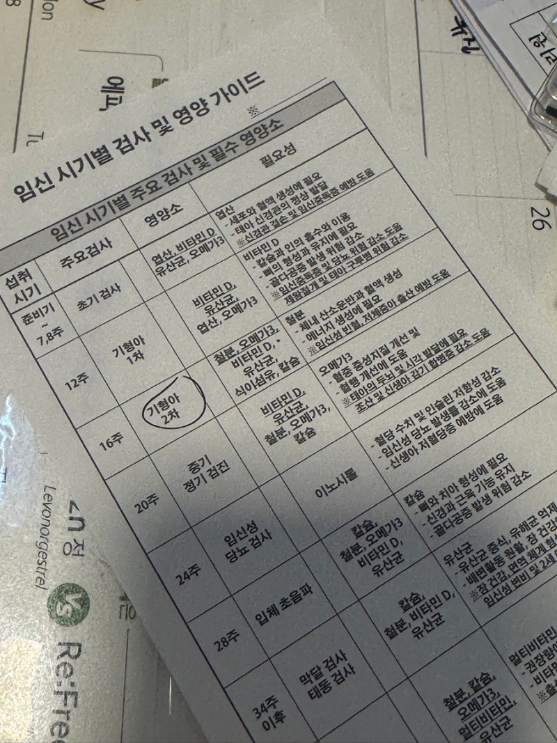 임신 16주차 중기임산부 영양제 추천ㅣ마더스케어 올인원 플러스2 내돈내산