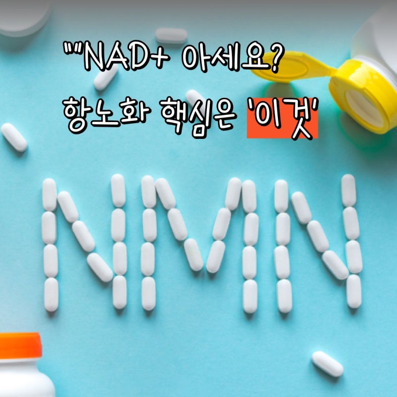 NMN 영양제 효능 대체 뭐길래? 항노화 성분으로 주목받는 이유