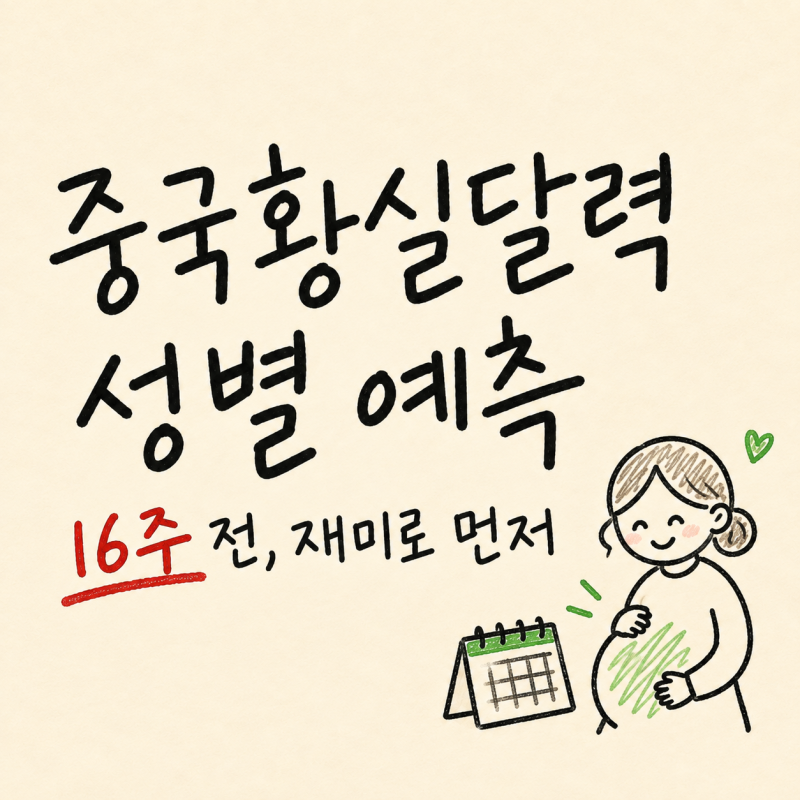"16주 성별 확인 앞두고.." 중국황실달력 계산기로 먼저 맞춰보니