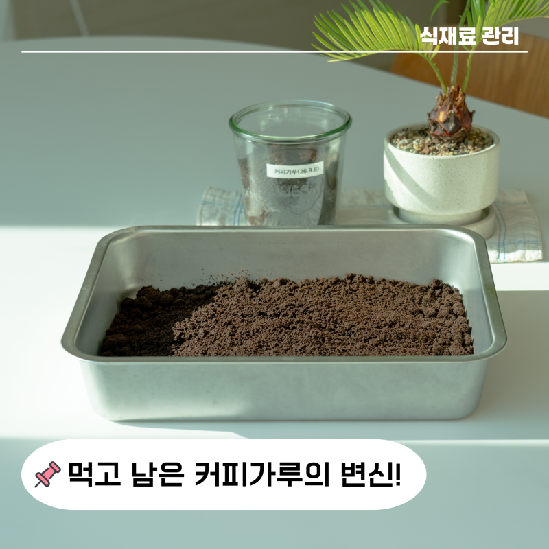 커피가루 활용 방법 3가지, 버리기 전 말려보세요
