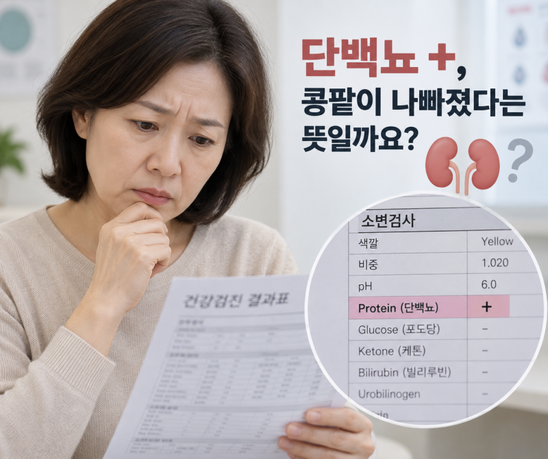 소변검사 단백뇨 양성, 원인과 재검사는? | 평리동내과