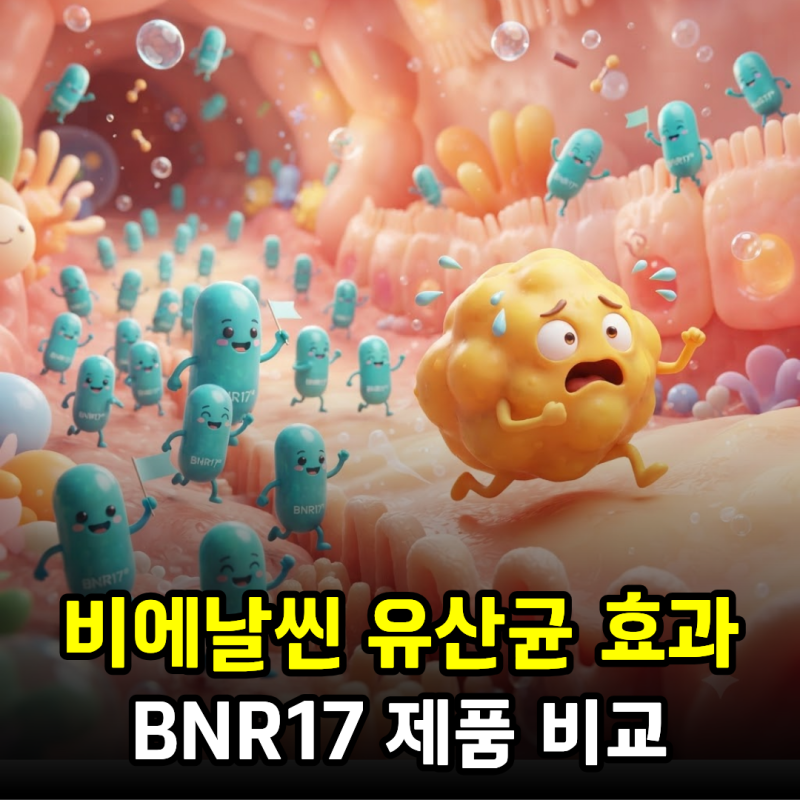 김희선 비에날씬 유산균 BNR17, 다이어트 효과