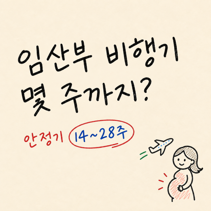 "태교여행 언제 가나 했더니.." 임산부 안정기 <b>비행기</b> 탑승 주수 정....