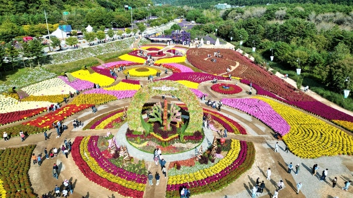 인제 가을꽃축제 날짜·주차 총정리, 가수 라인업은 아직 비공개래요