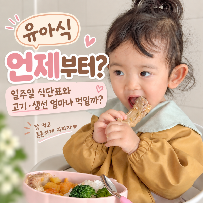 유아식 언제부터? 일주일 식단표와 고기·생선 얼마나 먹일까