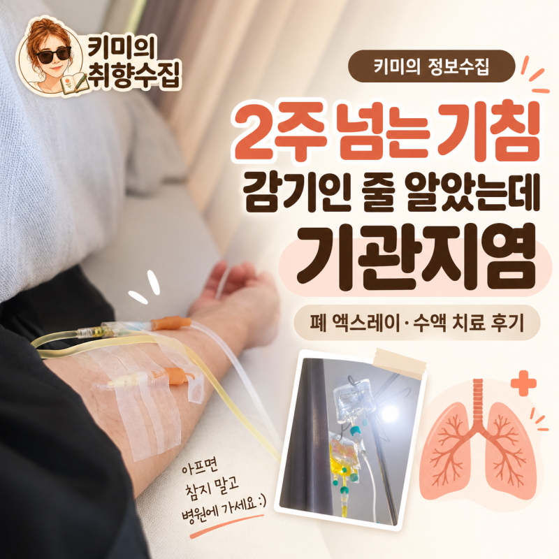 [키미의 정보수집] 2주 넘는 기침, 감기인 줄 알았는데 기관지염 진단받은 후기