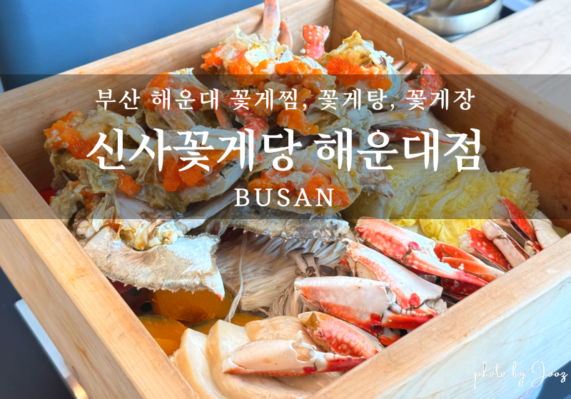 신사꽃게당 해운대점, 부산 해운대 맛집 지금이 제철인 꽃게찜·꽃게탕 솔직 내돈내산 후기 (....