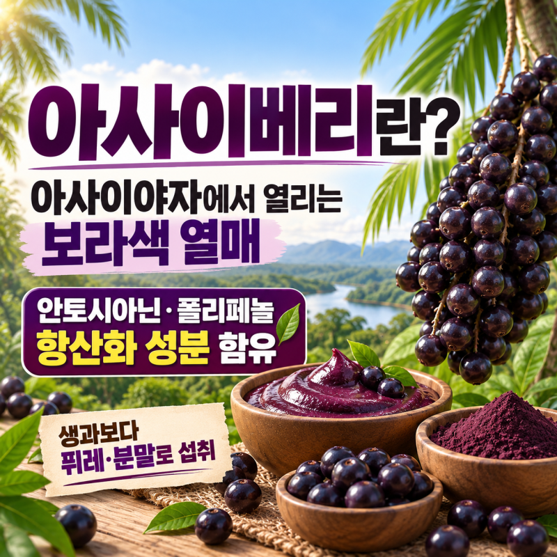 아사이베리 효능, 칼로리, 열매는 어떻게 먹을까? 분말·냉동 먹는법과 부작용