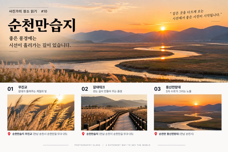 사진가의 장소 읽기 #10 순천만습지 — 좋은 풍경에는 시선이 흘러가는 길이 있습니다