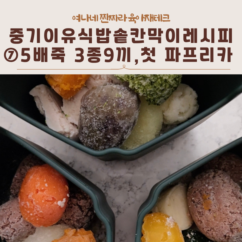 [중기이유식] 밥솥칸막이레시피⑦ 5배죽 3종 9끼, 파프리카 NEW