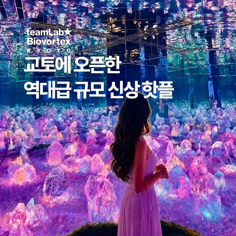 팀랩 바이오보텍스 교토 티켓 예약 가격 관람시간 당일치기 여행 코스