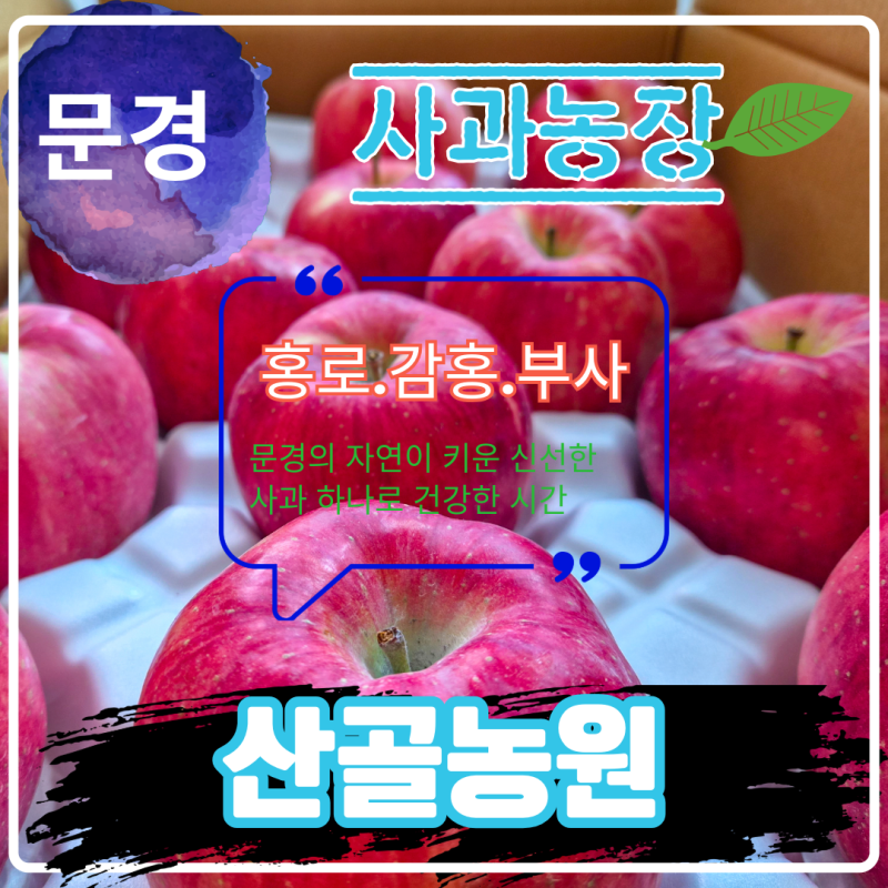 문경사과농장 택배 홍로 부사 감홍 늘 산골농원