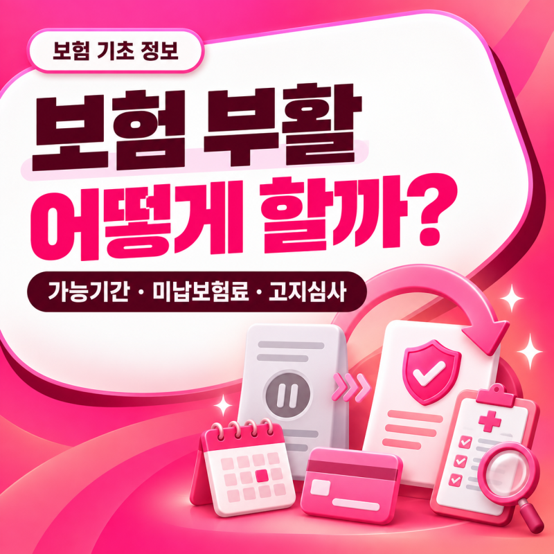 보험 부활이란?｜실효된 보험을 다시 살리는 방법과 확인사항