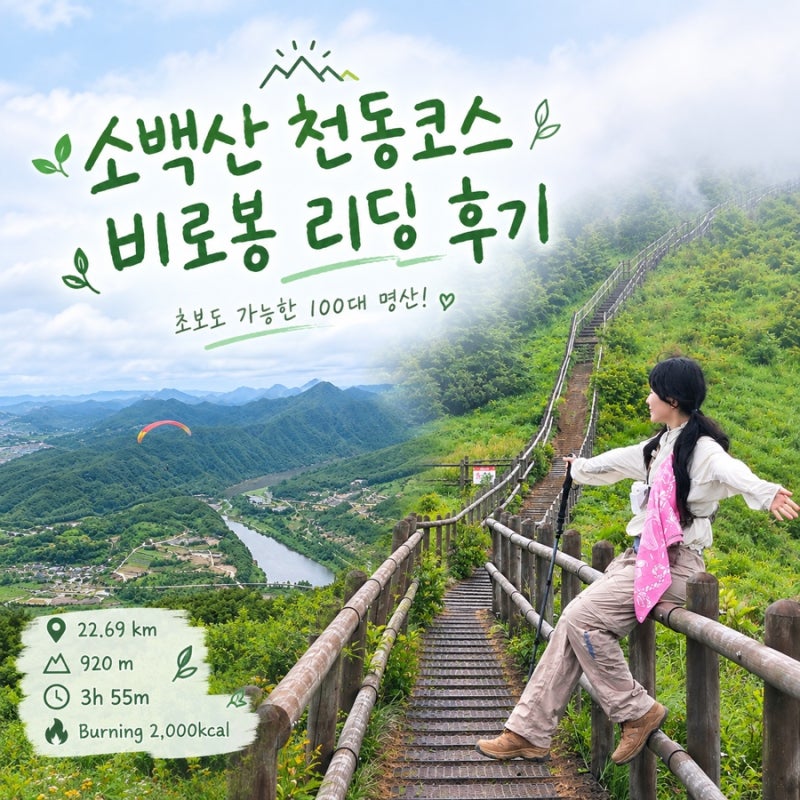 ⛰️단양 소백산 비로봉 등산코스 추천｜천동코스, 맛집, 카페까지 하루 코스