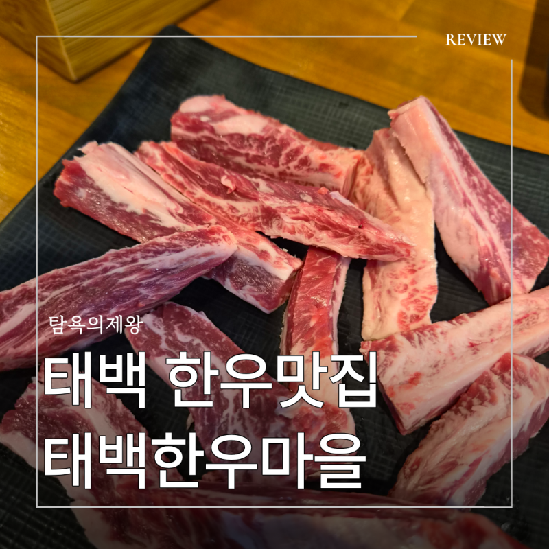 태백 한우맛집 어디로 가야할까? 태백한우마을 생갈비살 후기