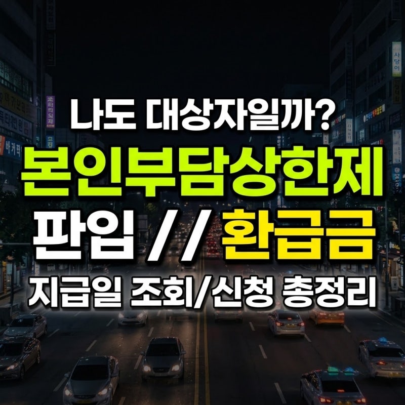 본인부담상한제 환급금 조회 방법과 지급일 신청 기간 총정리