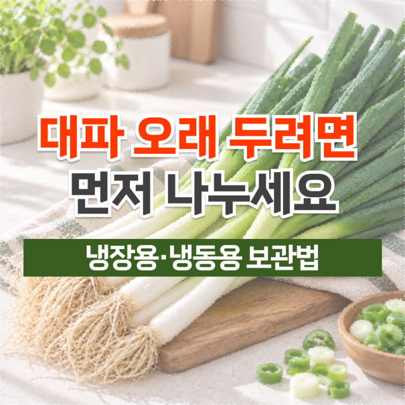 대파 오래 두고 먹으려면? 냉장·냉동 나누는 기준