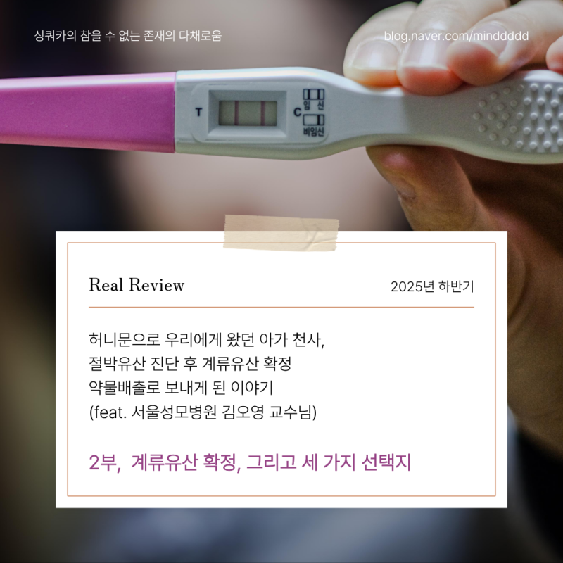 [유산 후 약물배출(서울성모병원 김오영 교수님) 경험담] 2부. 계류유산 확정. 유산이 된다면 ....