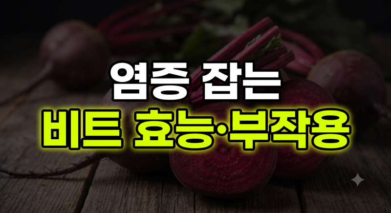비트 효능 5가지 총정리(부작용, 당뇨, 맛있게 먹는 법, 보관법)