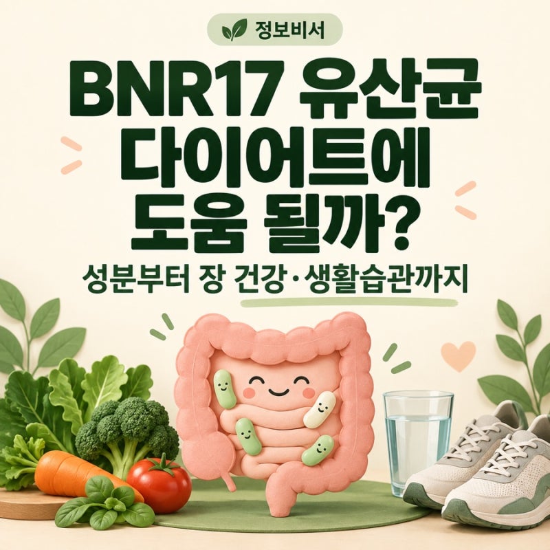 [건강레터]BNR17 유산균 효과, 다이어트에 도움 될까? 장 건강과 생활습관까지 비엔날씬