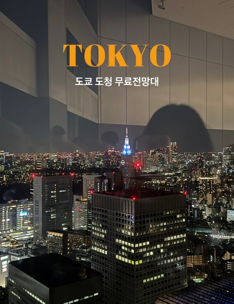 도쿄 야경 무료 전망대 도쿄 도청 전망대 위치 운영시간 도쿄 라이트쇼 남측전망대
