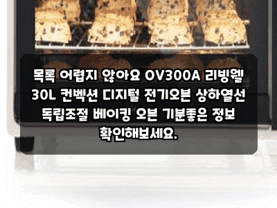 목록 어렵지 않아요 OV300A 리빙웰 30L 컨벡션 디지털 전기오븐 상하열선 독립조절 베이킹 오븐....