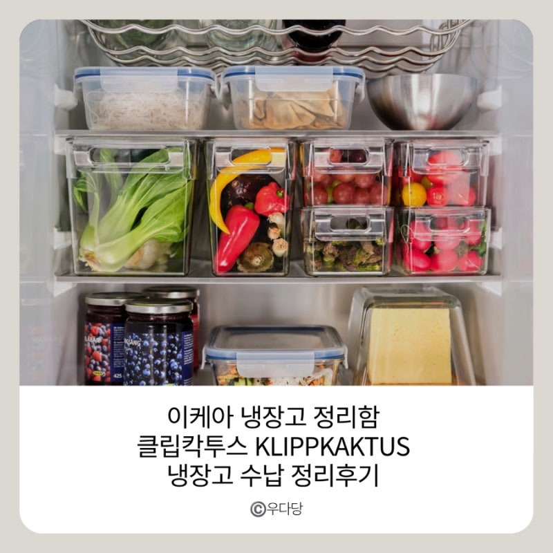 이케아 냉장고 정리함 클립칵투스 KLIPPKAKTUS 내돈내산 - 냉장고 수납 정리 솔직후기